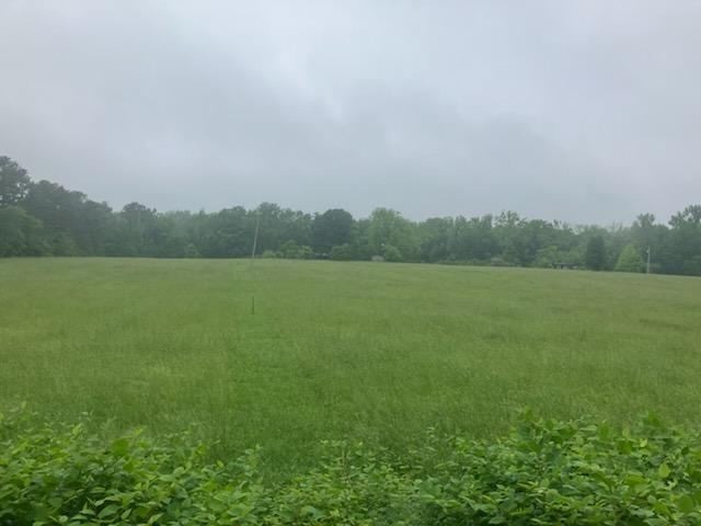 Photo of Listing #2694192