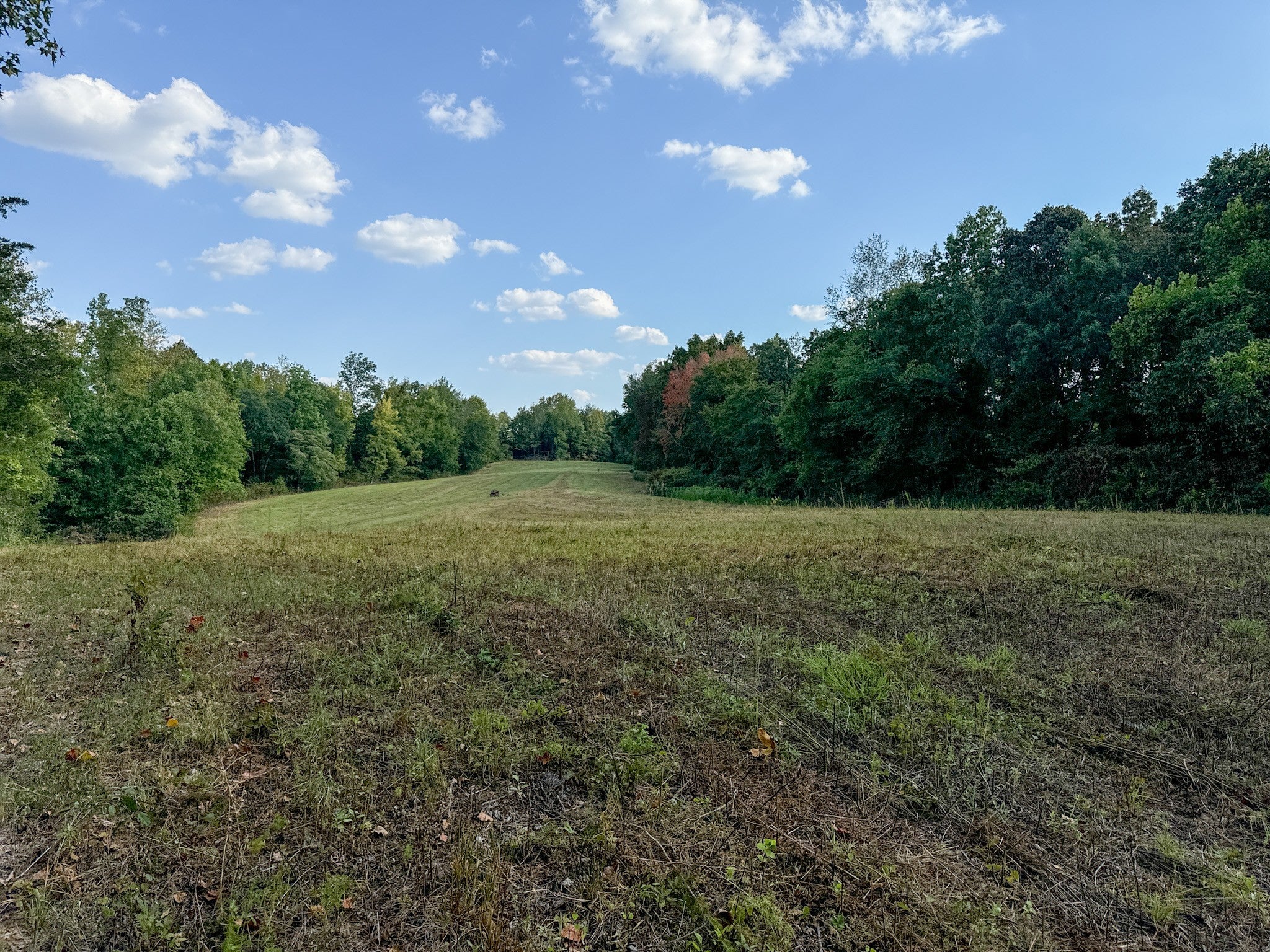 Photo of Listing #2695940