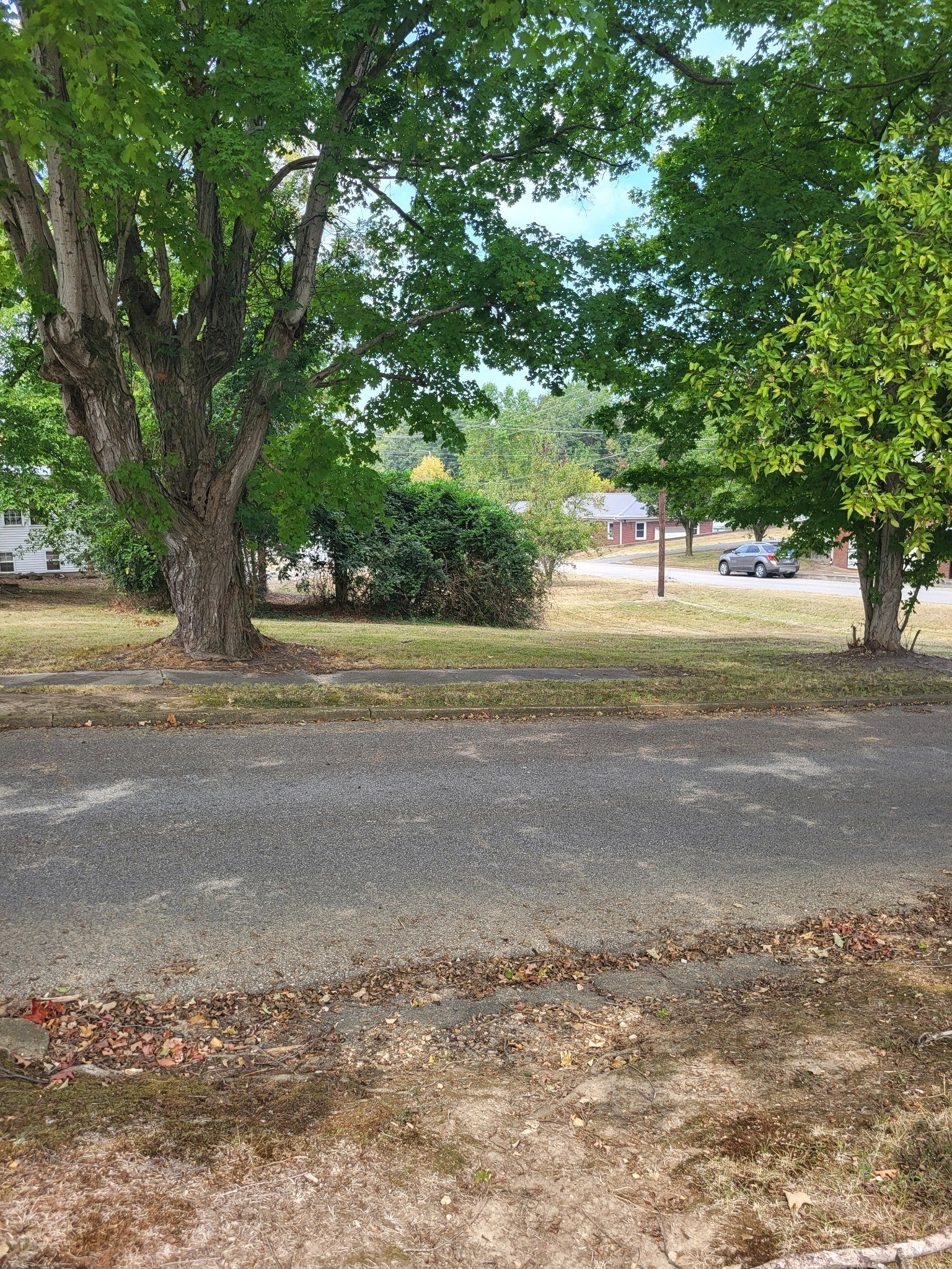 Photo of Listing #2696757