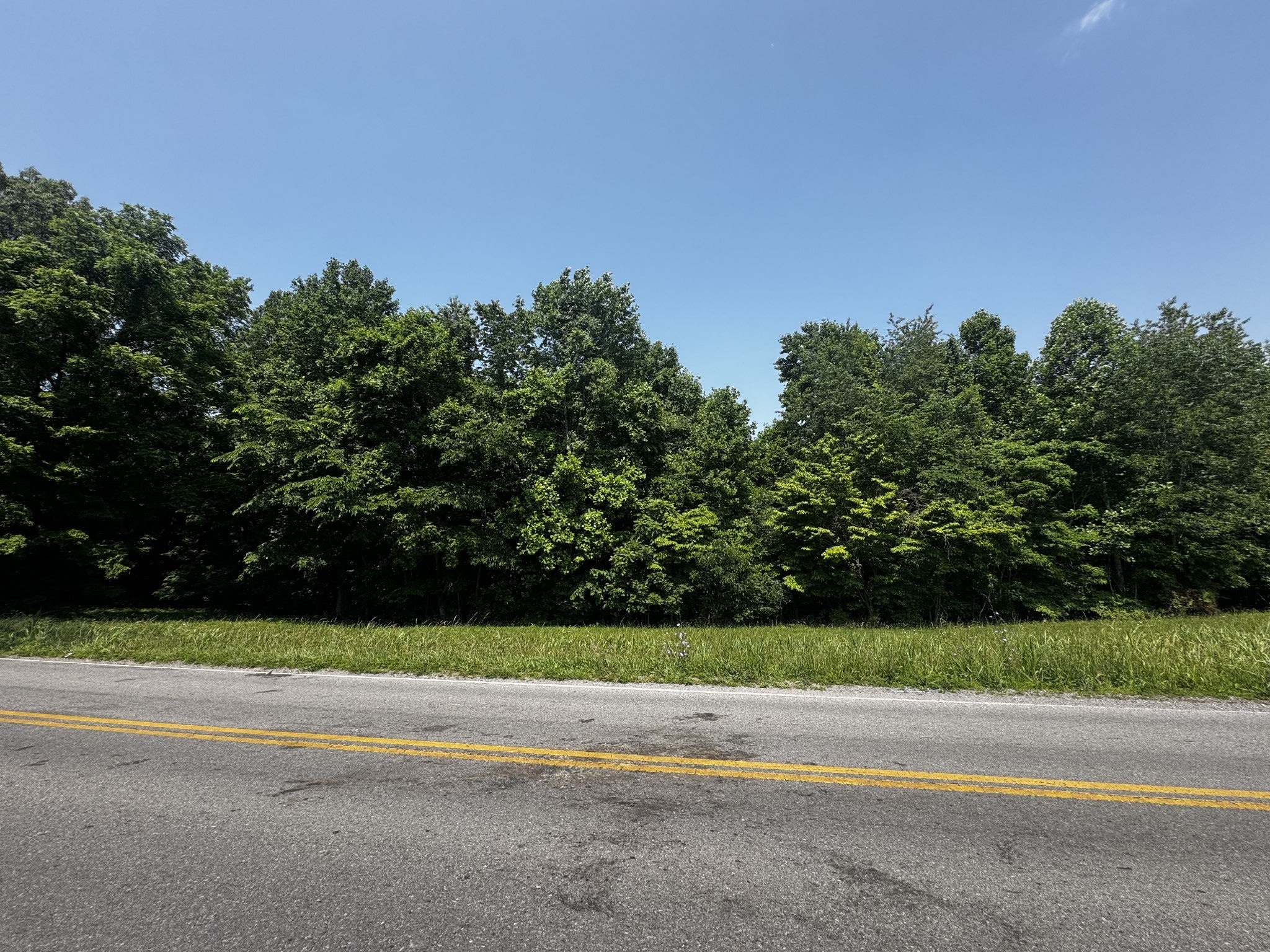 Photo of Listing #2701257