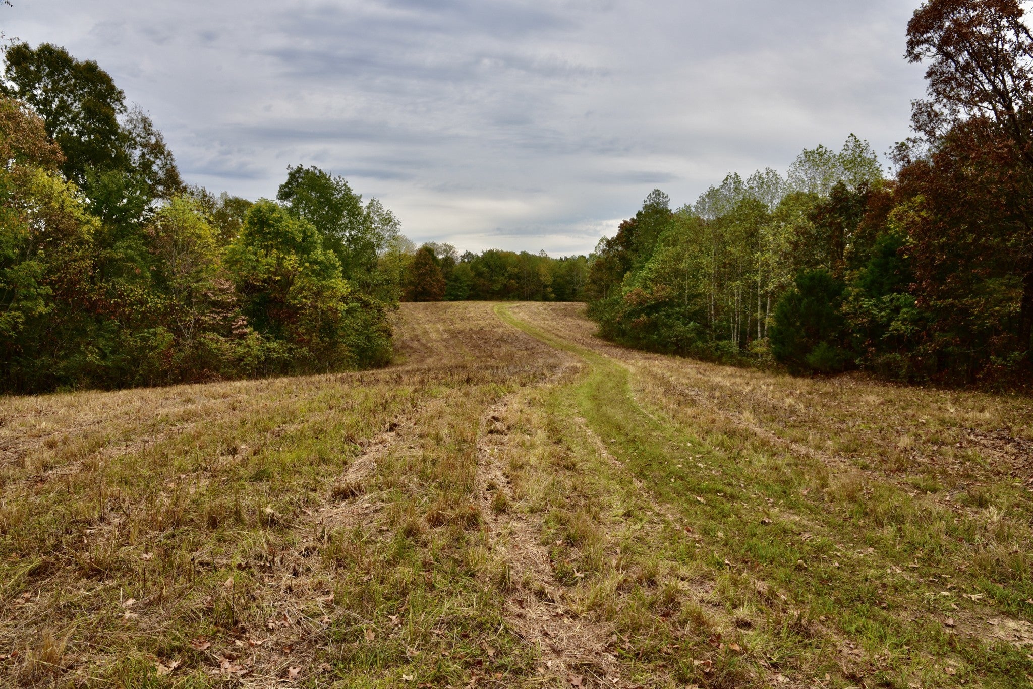 Photo of Listing #2701314