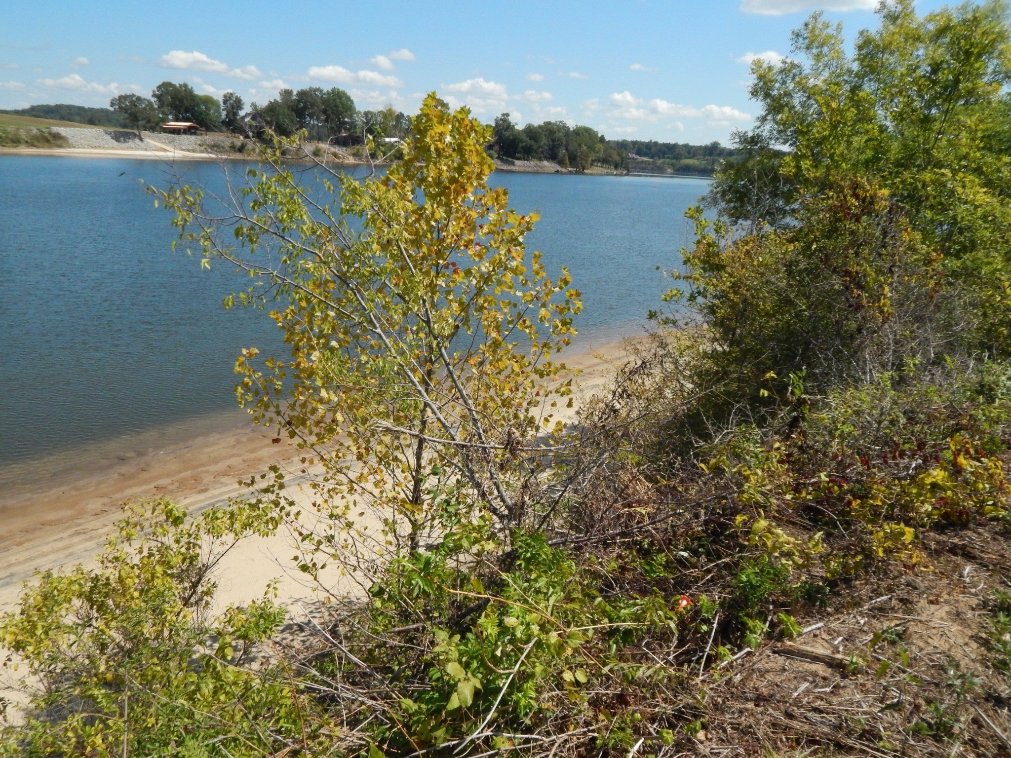 Photo of Listing #2701475