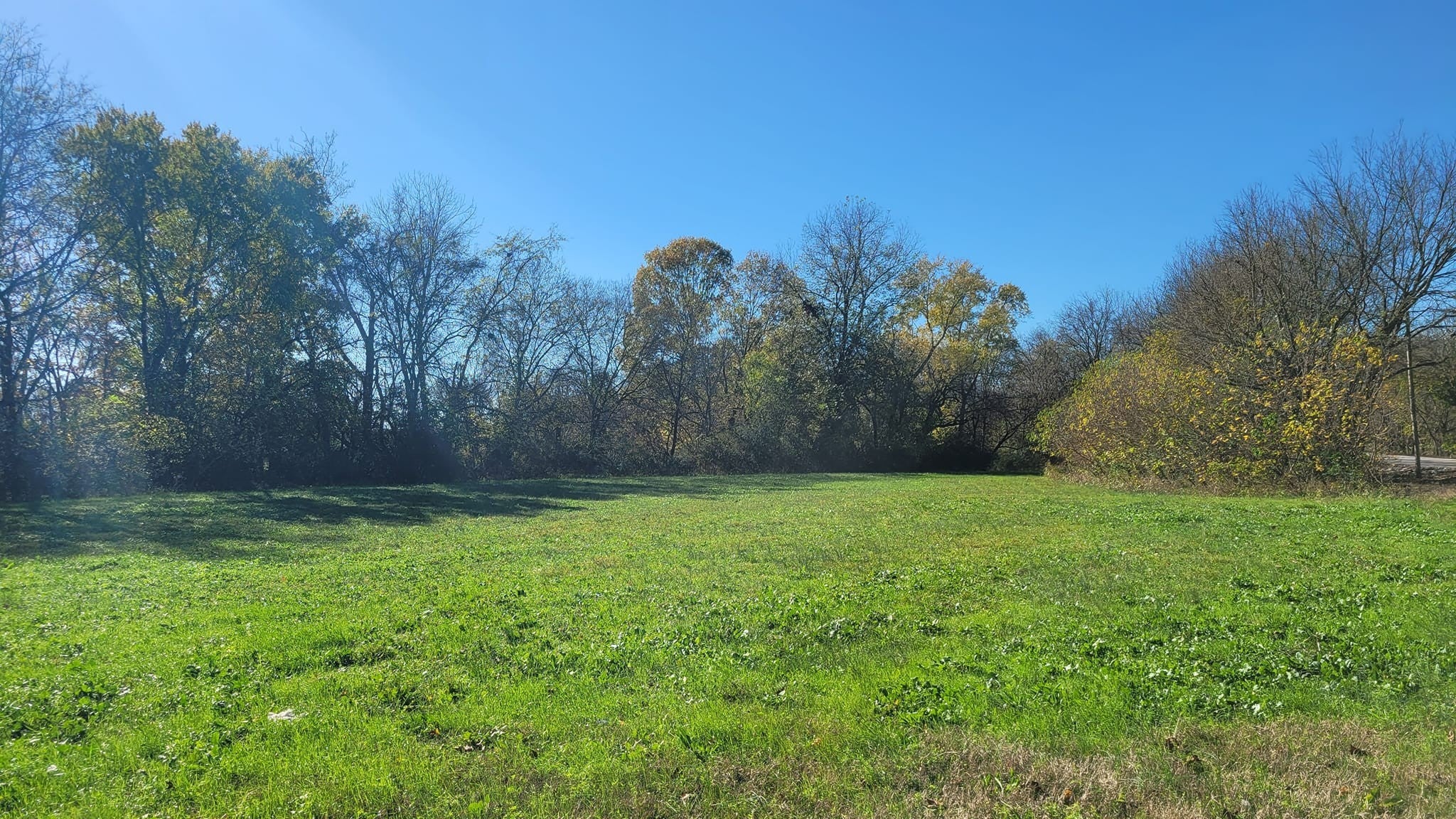 Photo of Listing #2701907