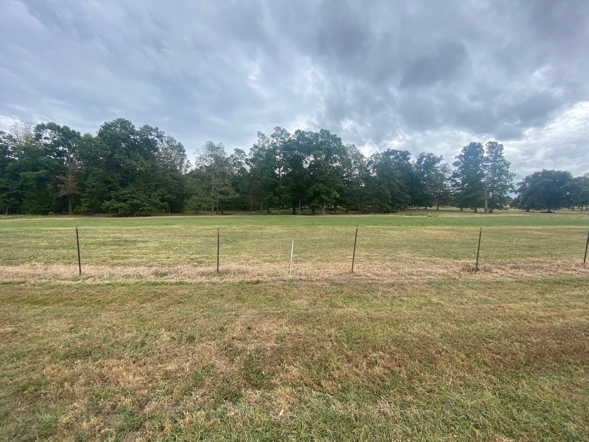 Photo of Listing #2704021