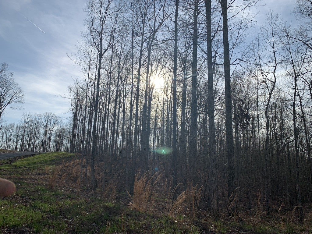 Photo of Listing #2705378