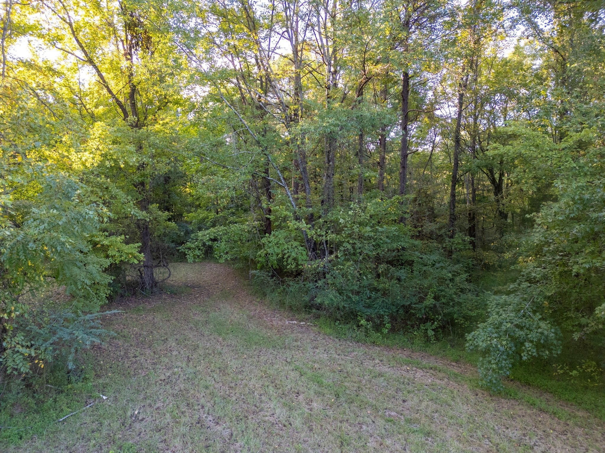 Photo of Listing #2706042