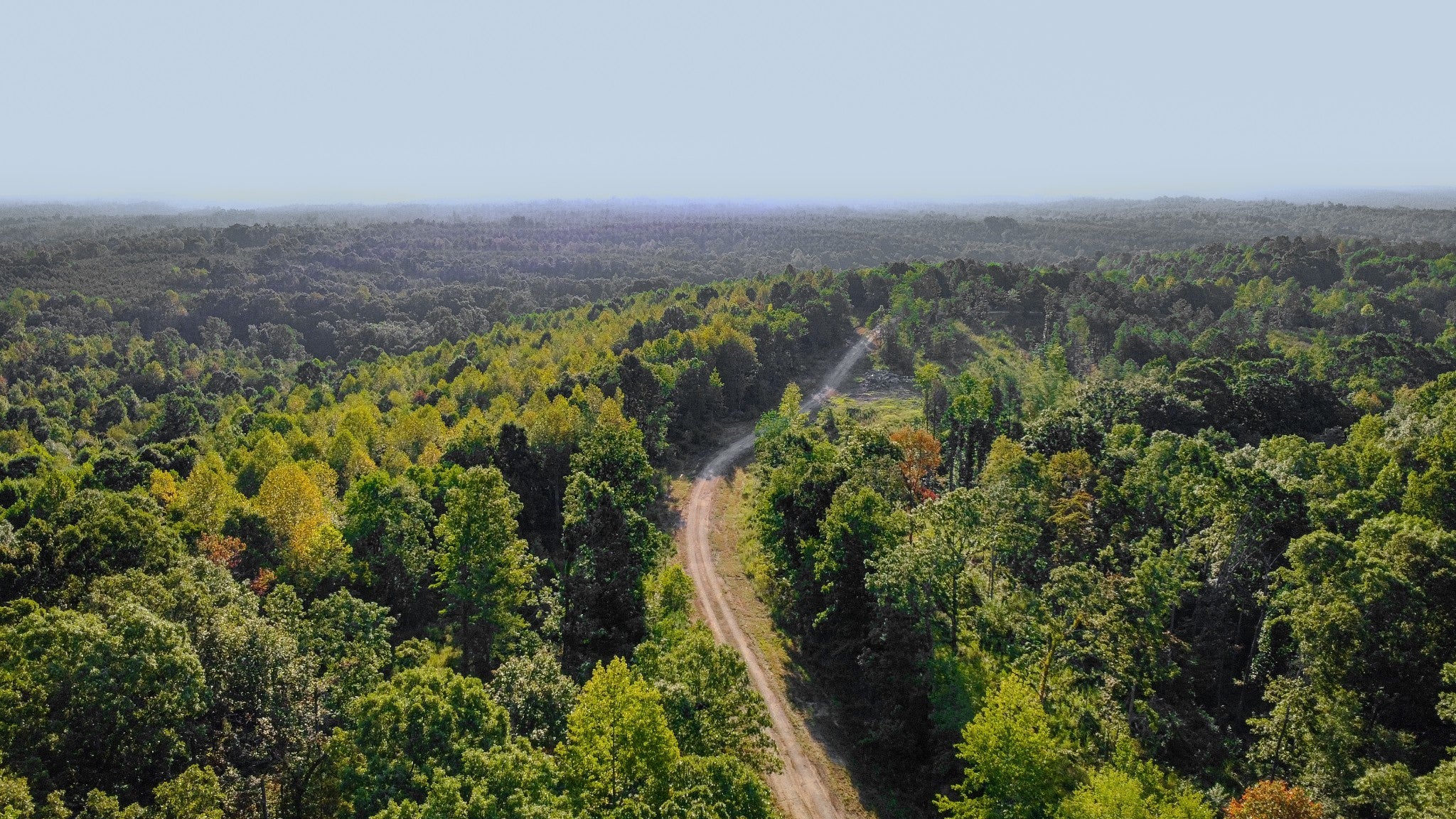 Photo of Listing #2706646