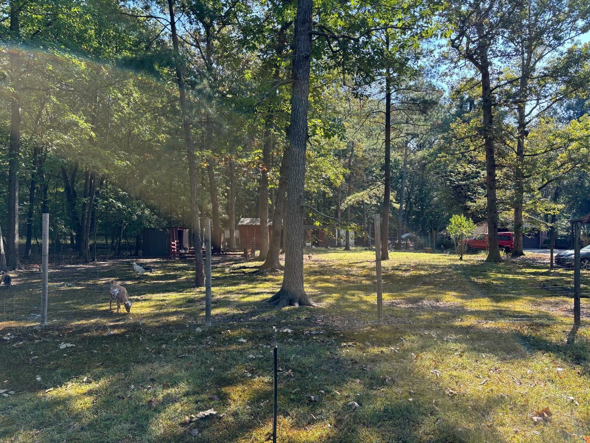 Photo of Listing #2707209