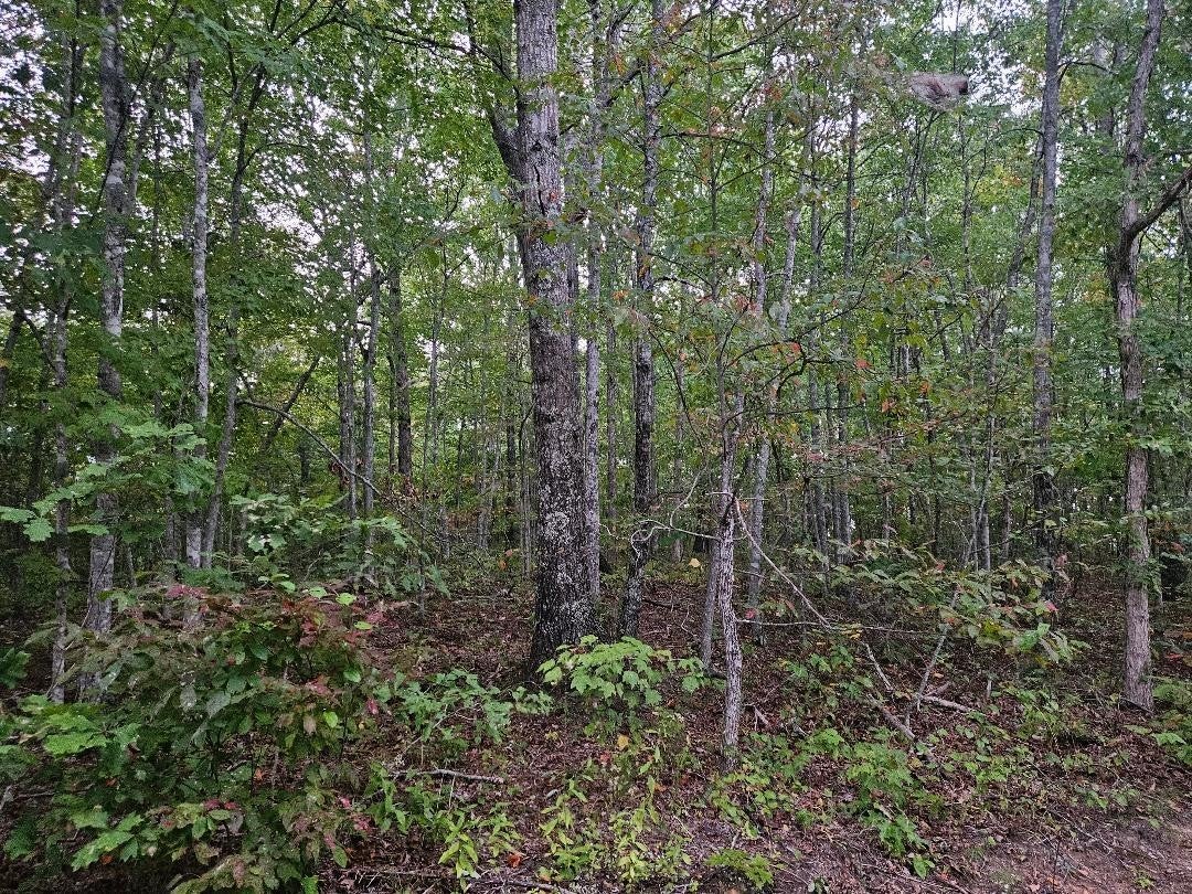 Photo of Listing #2707337