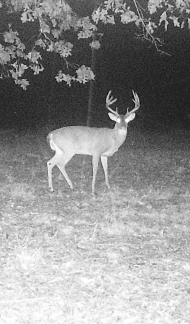 Photo of Listing #2707562