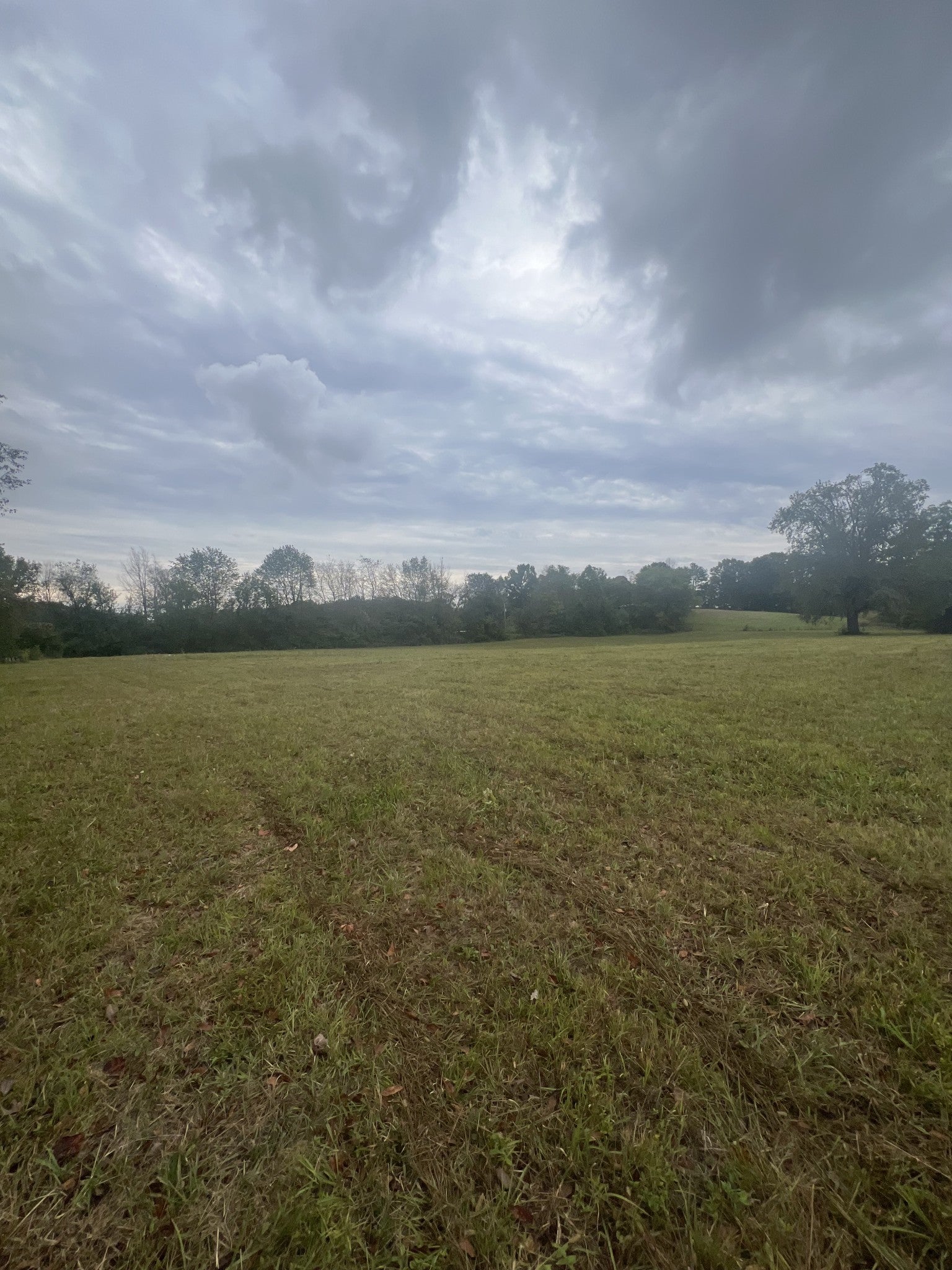 Photo of Listing #2708061