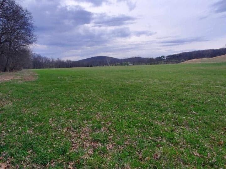 Photo of Listing #2708249