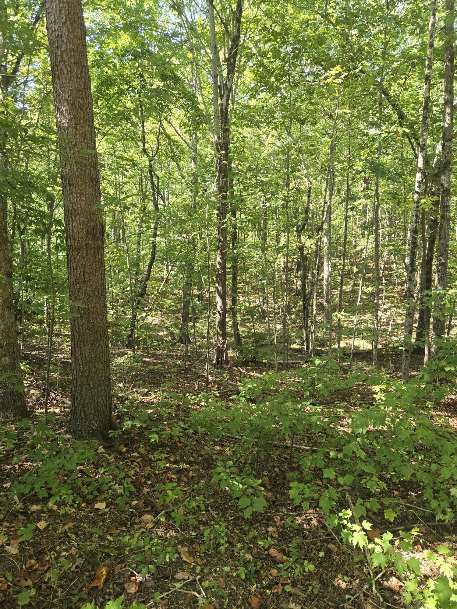 Photo of Listing #2709390