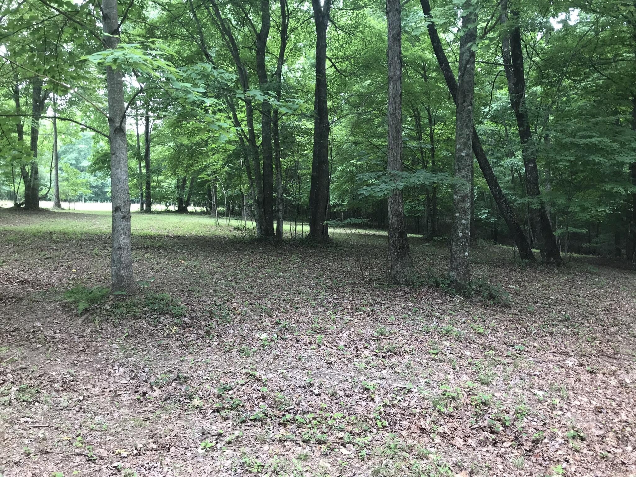 Photo of Listing #2709438