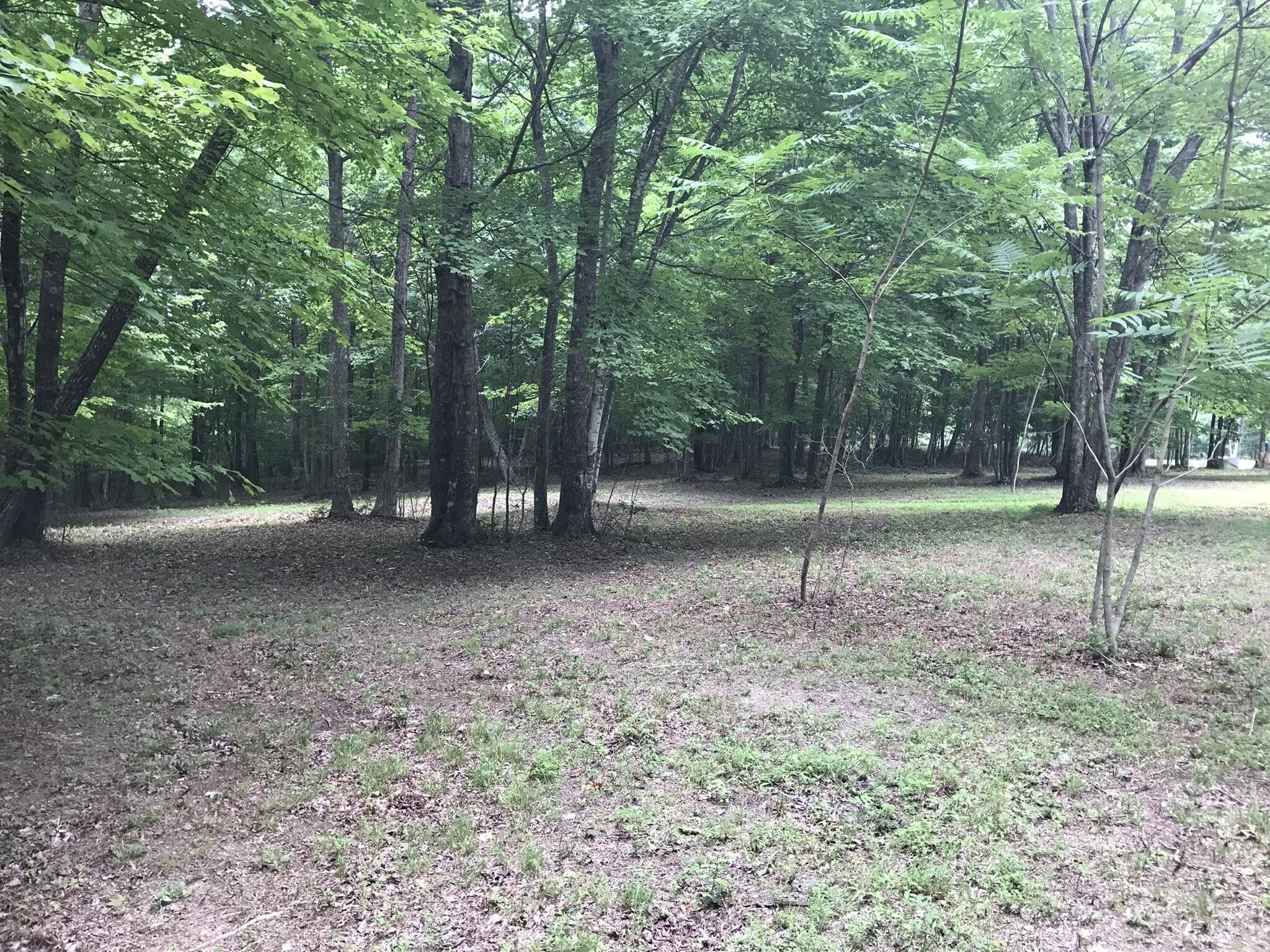 Photo of Listing #2709438