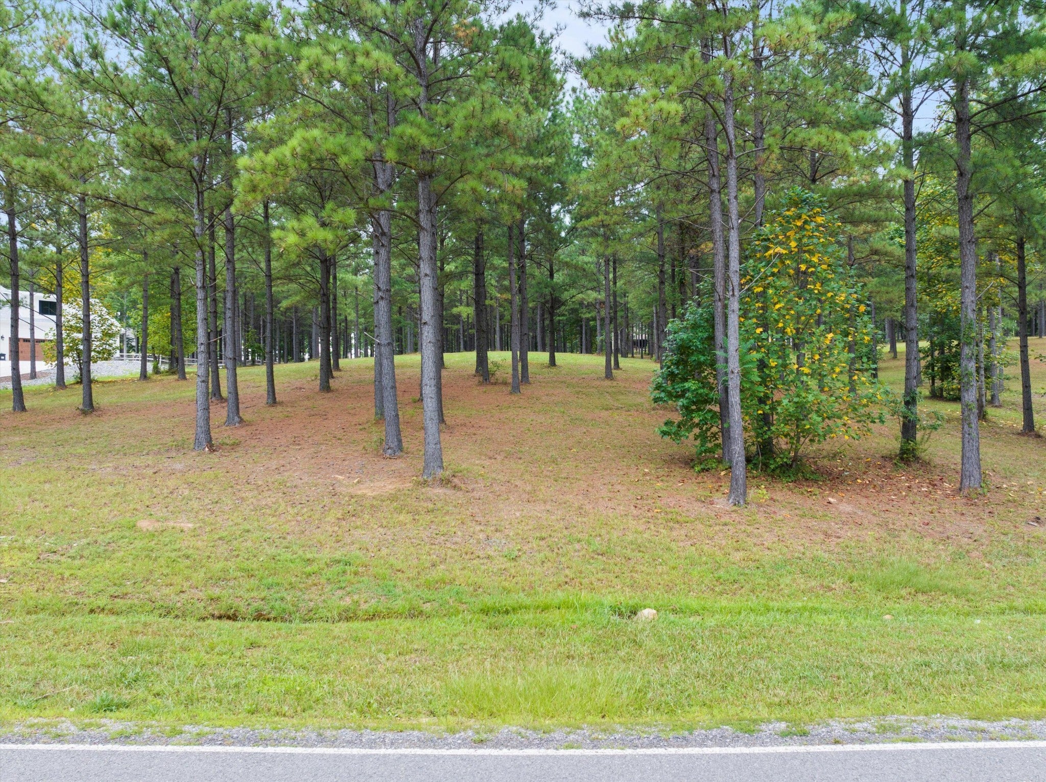 Photo of Listing #2709624