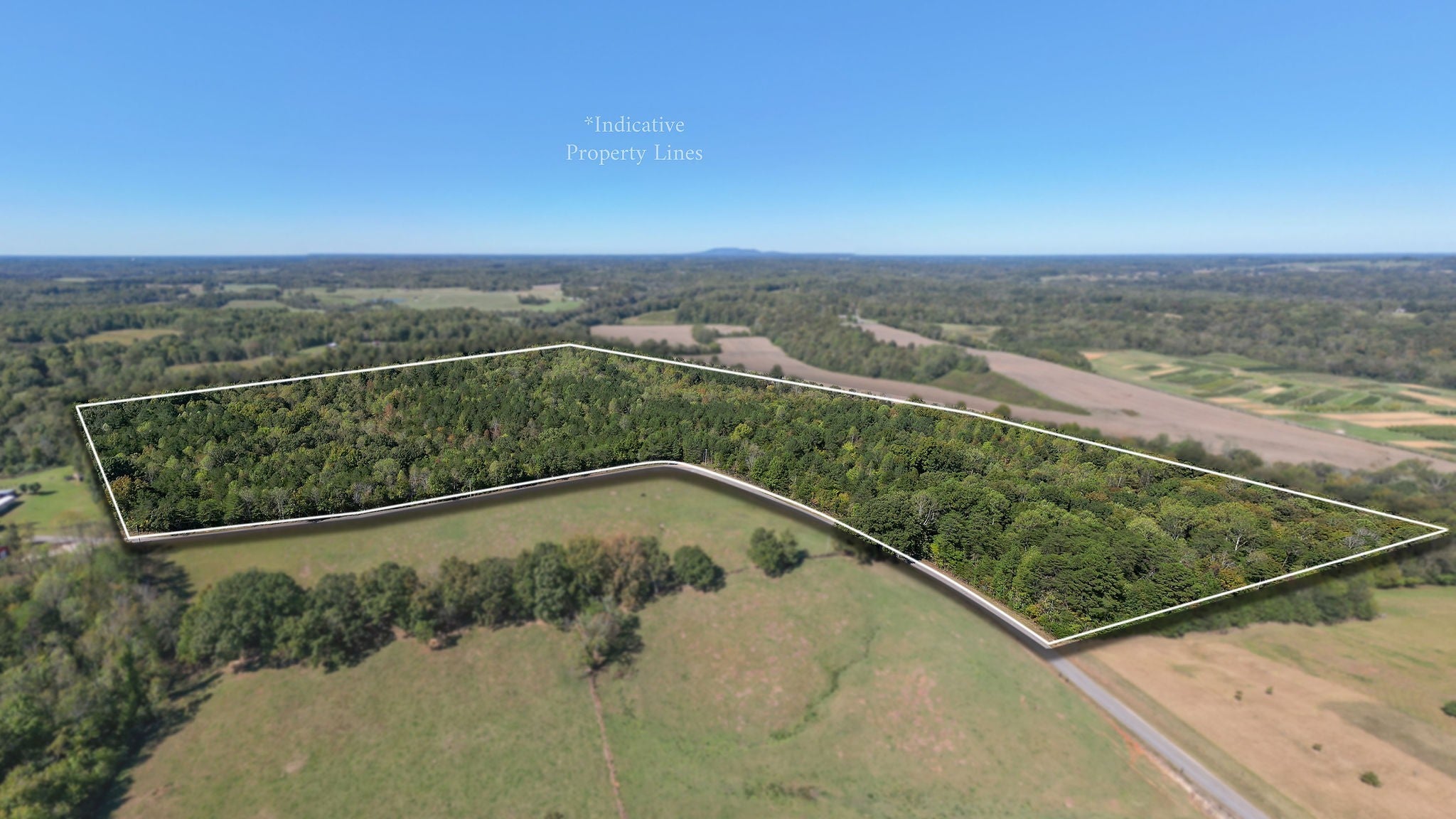 Photo of Listing #2739927