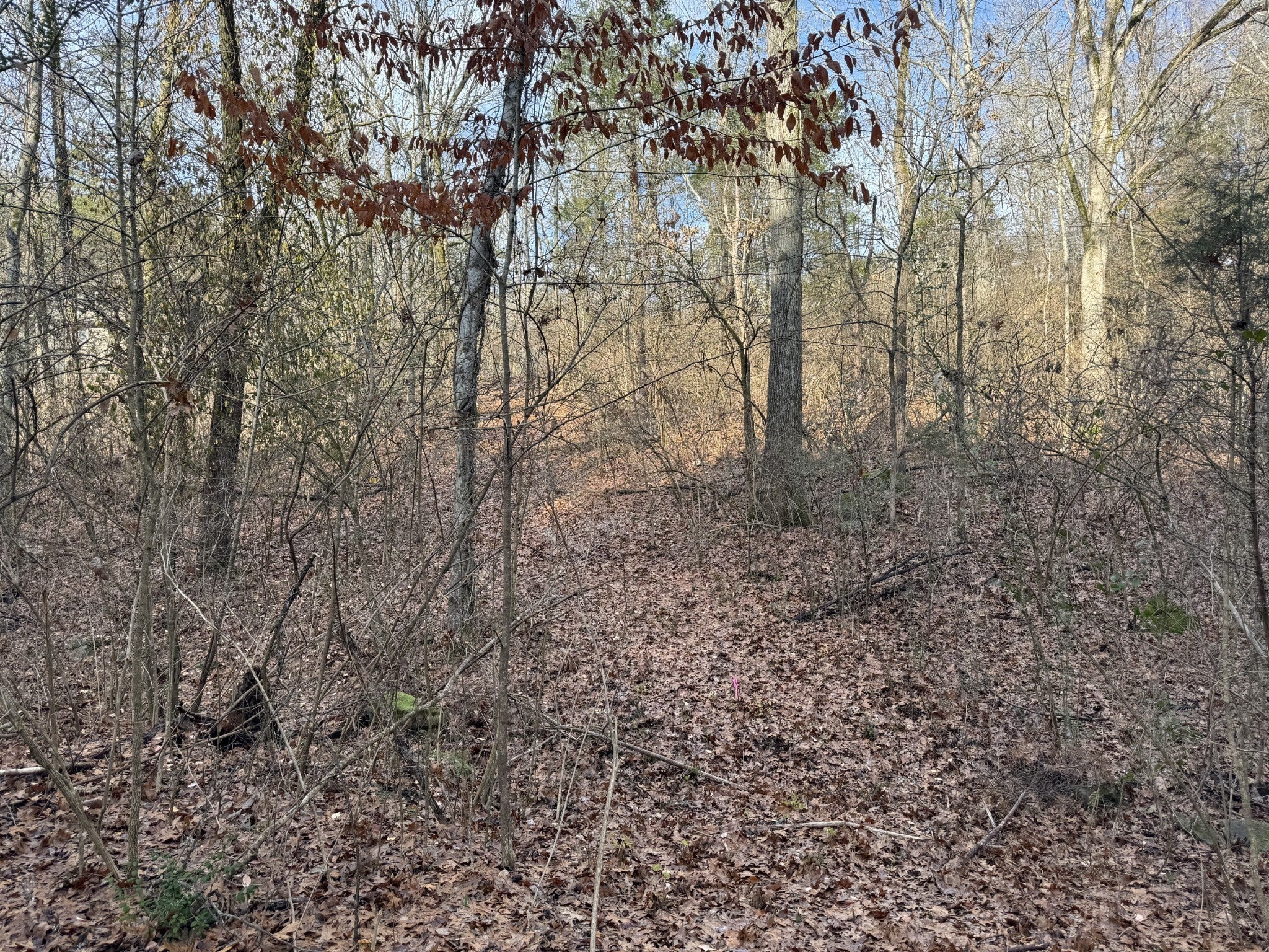 Photo of Listing #2744006