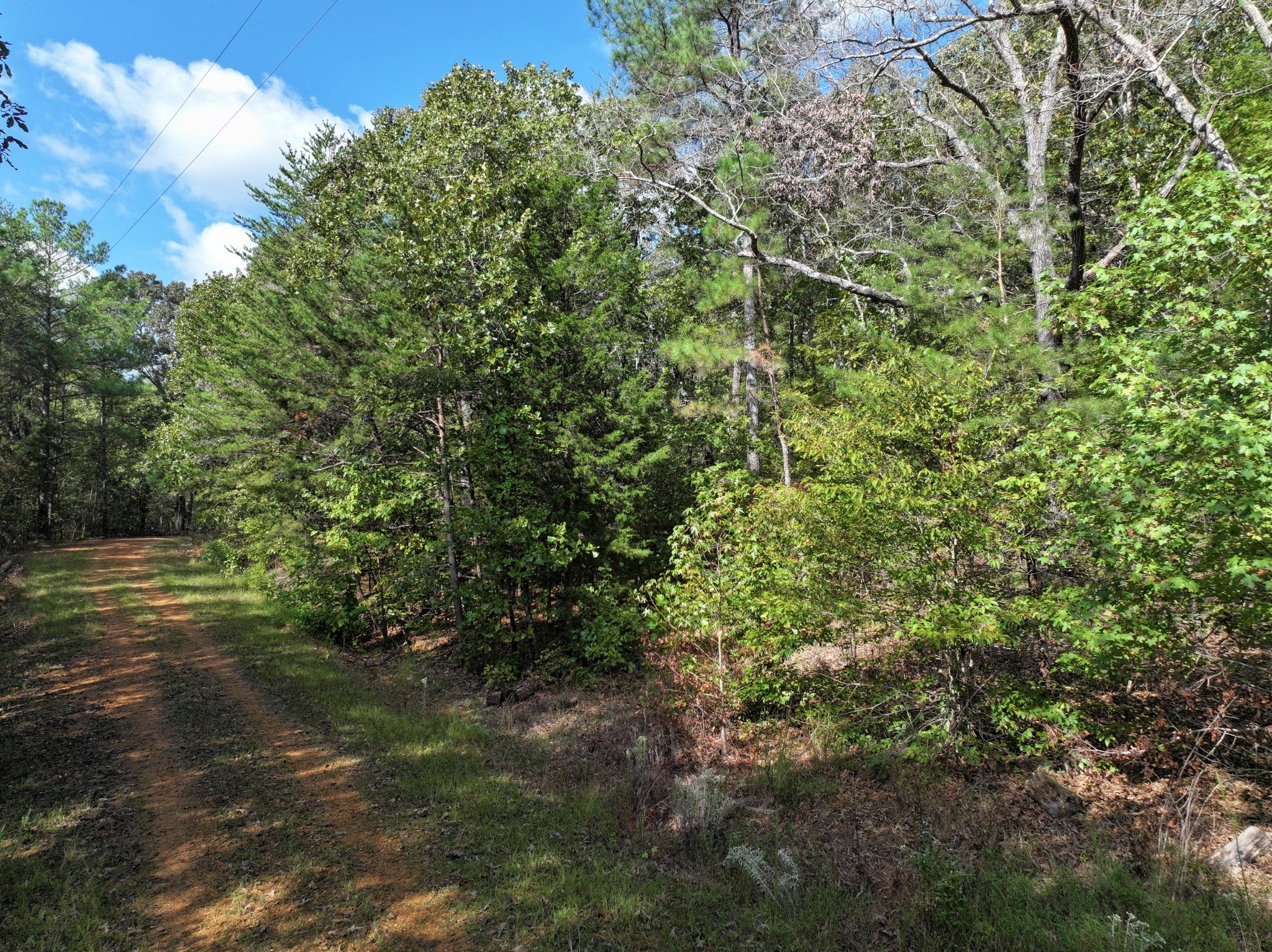 Photo of Listing #2744513