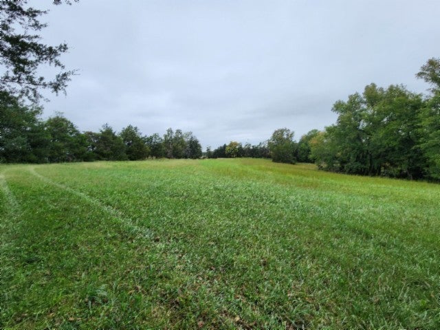 Photo of Listing #2744722