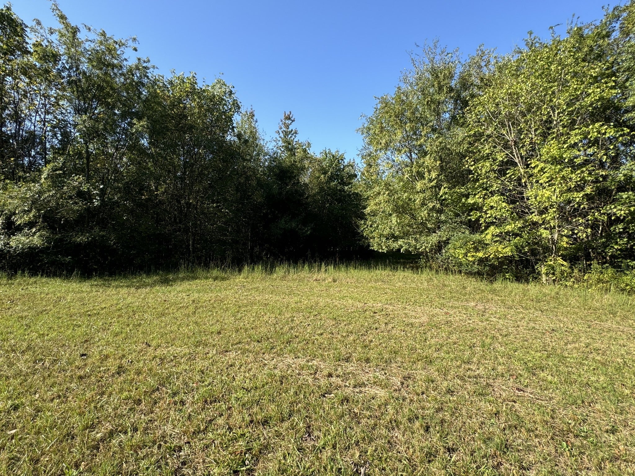 Photo of Listing #2745675