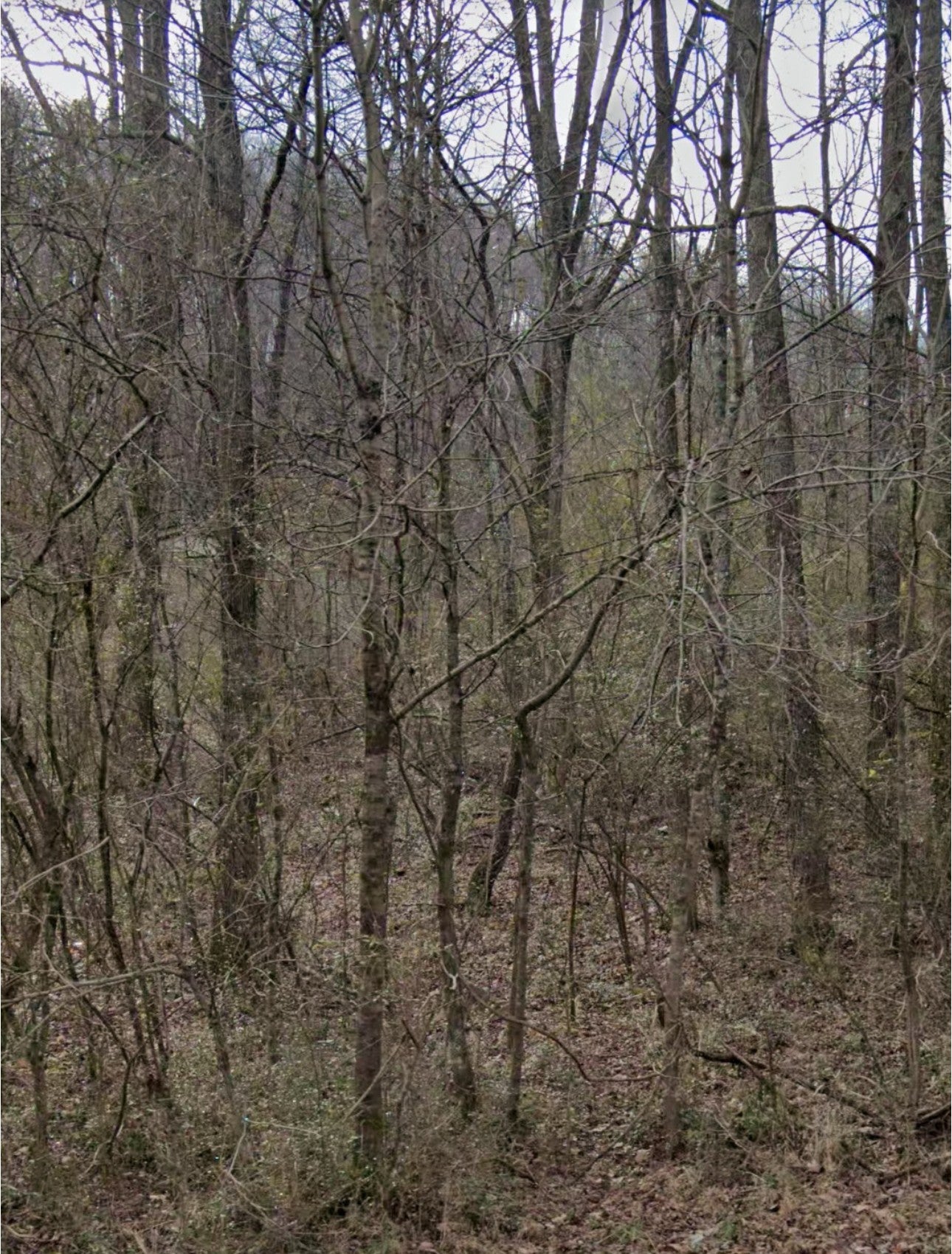 Photo of Listing #2747718