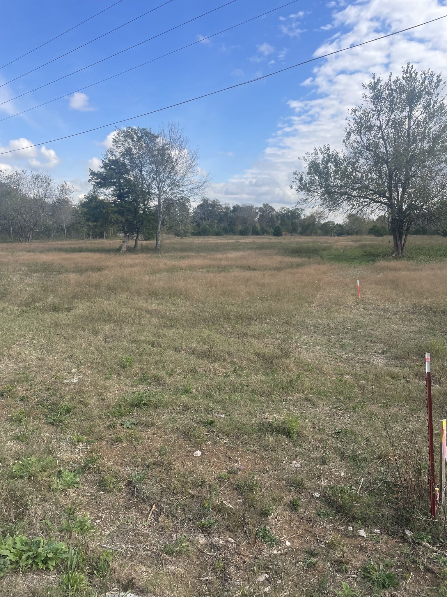 Photo of Listing #2748977