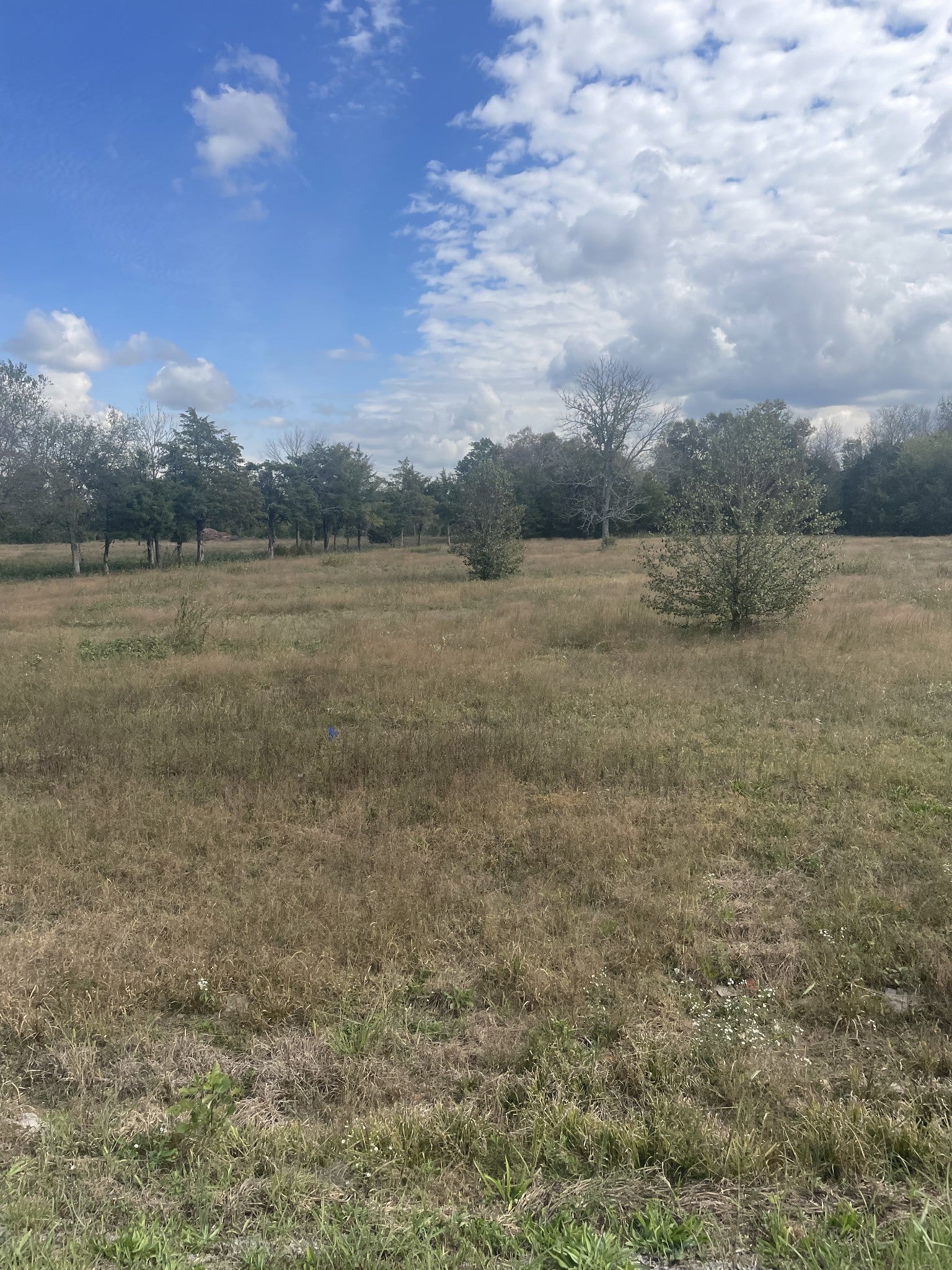 Photo of Listing #2748981