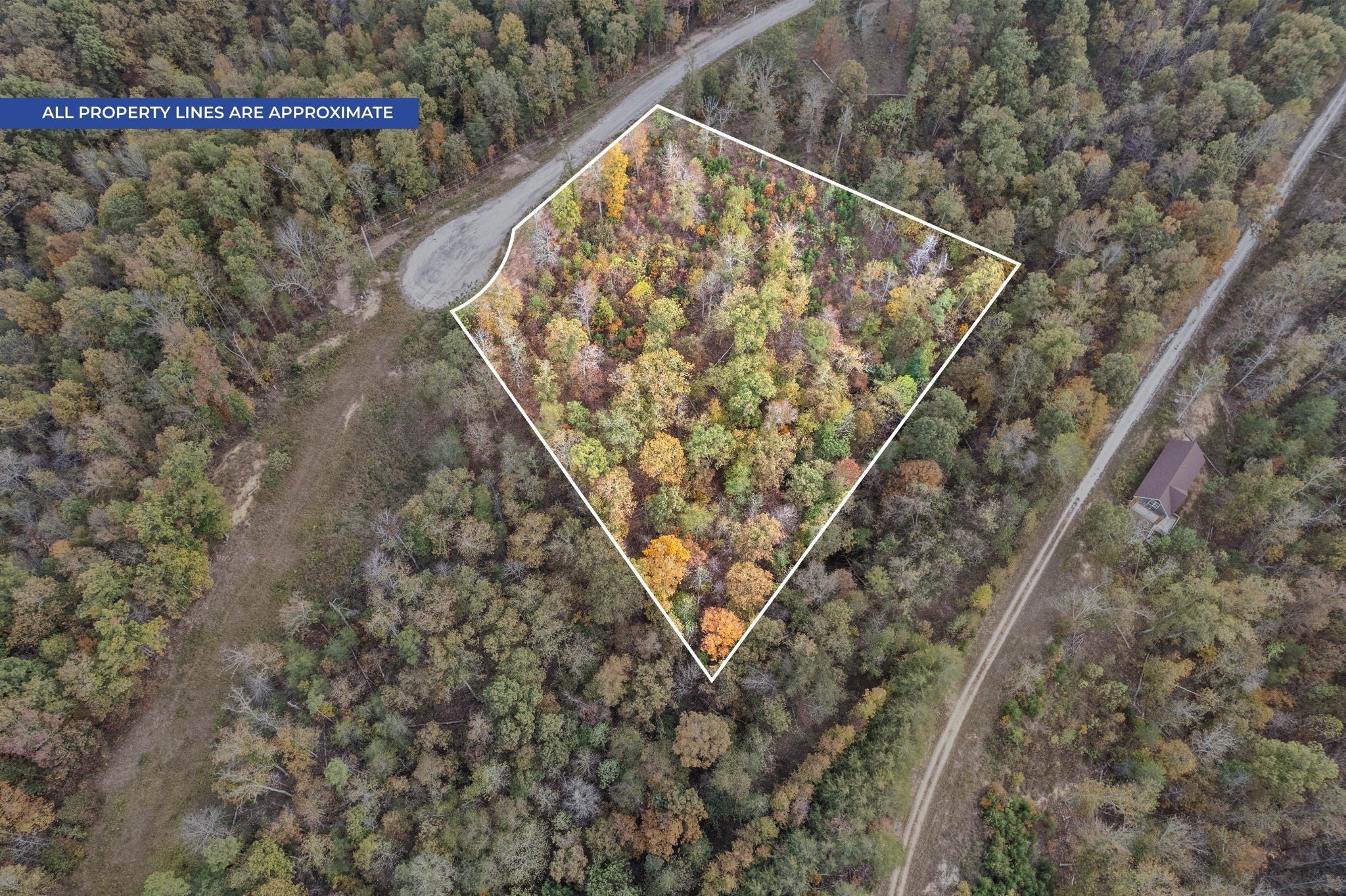 Photo of Listing #2750847