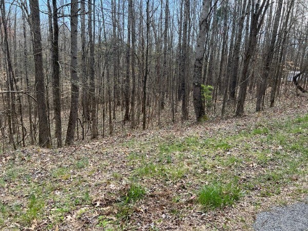 Photo of Listing #2753463