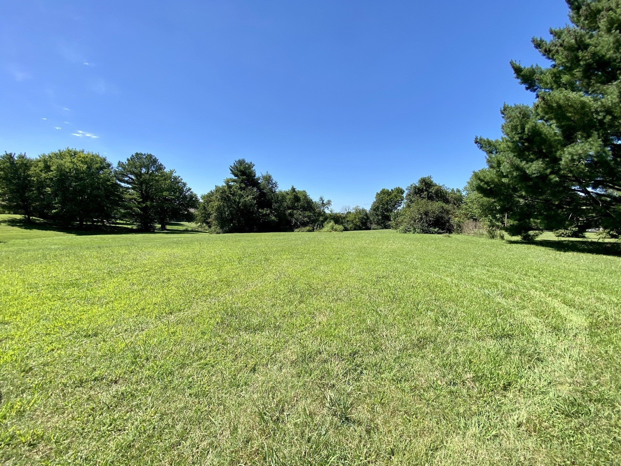 Photo of Listing #2754041