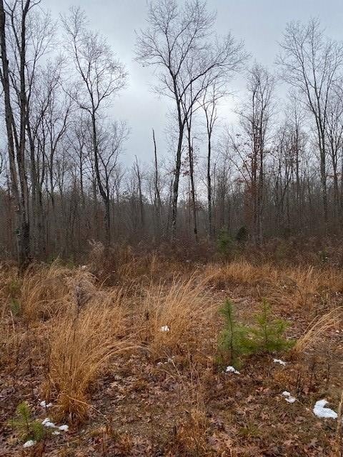 Photo of Listing #2754401