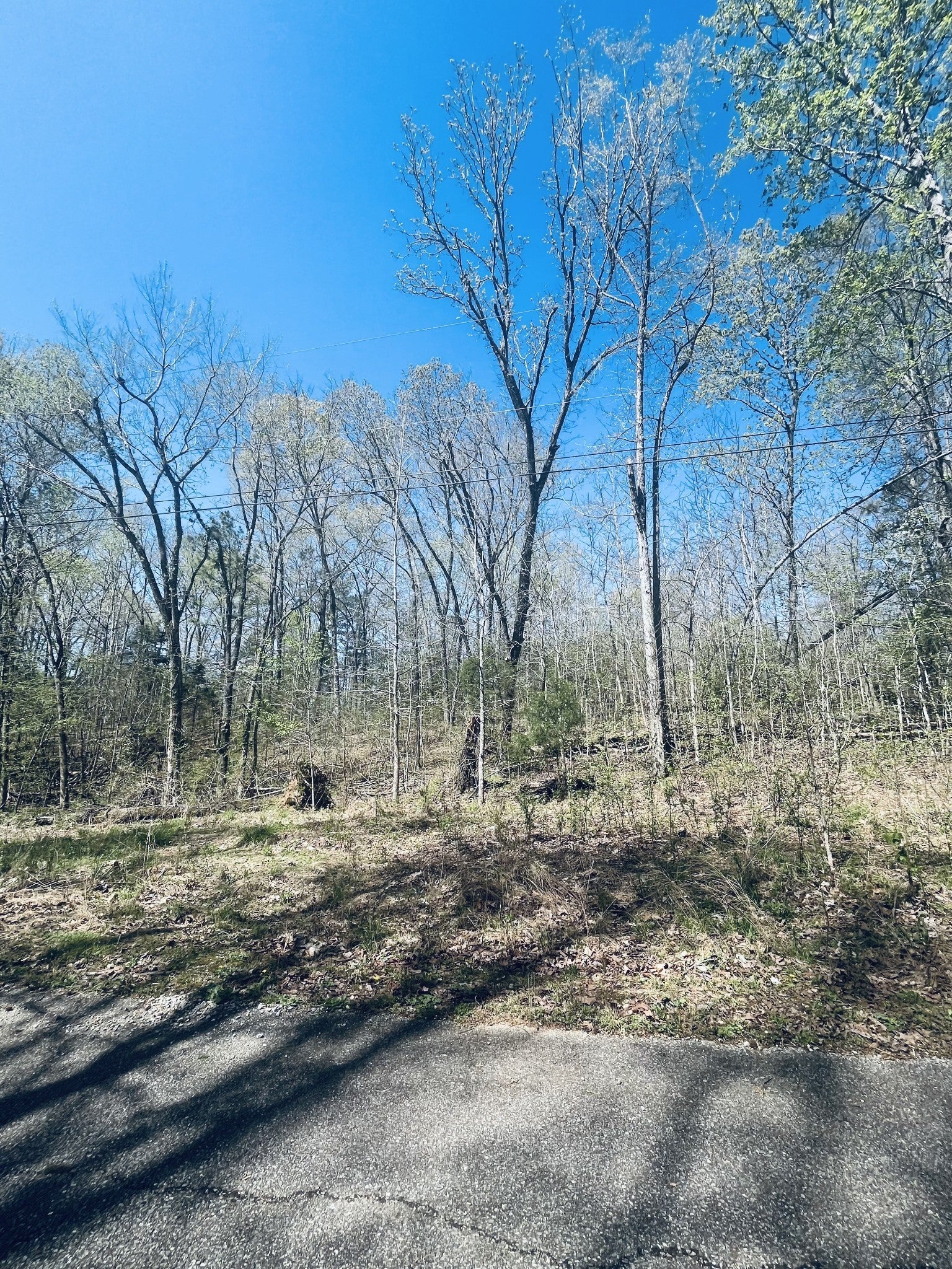 Photo of Listing #2754544