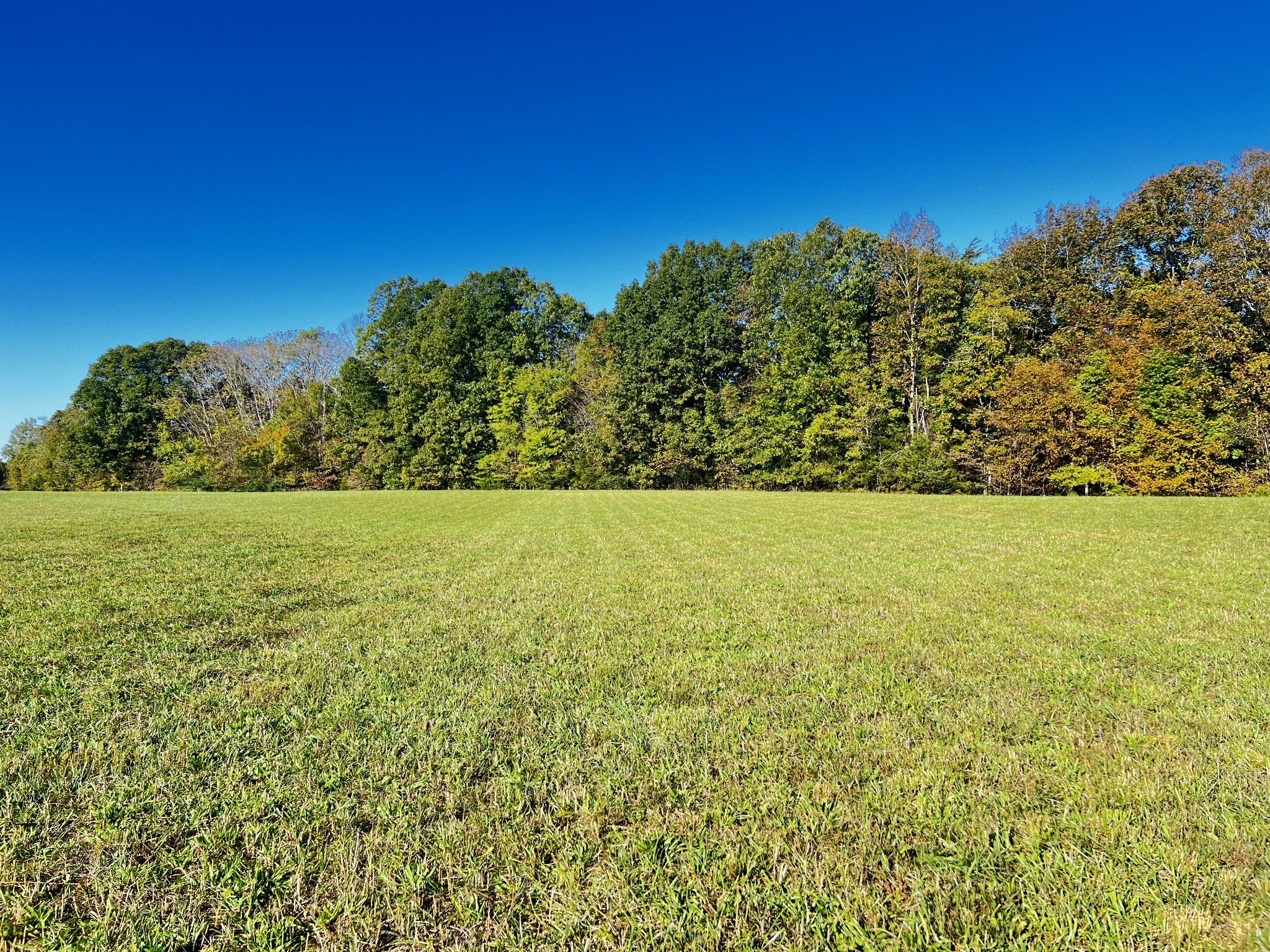 Photo of Listing #2755711