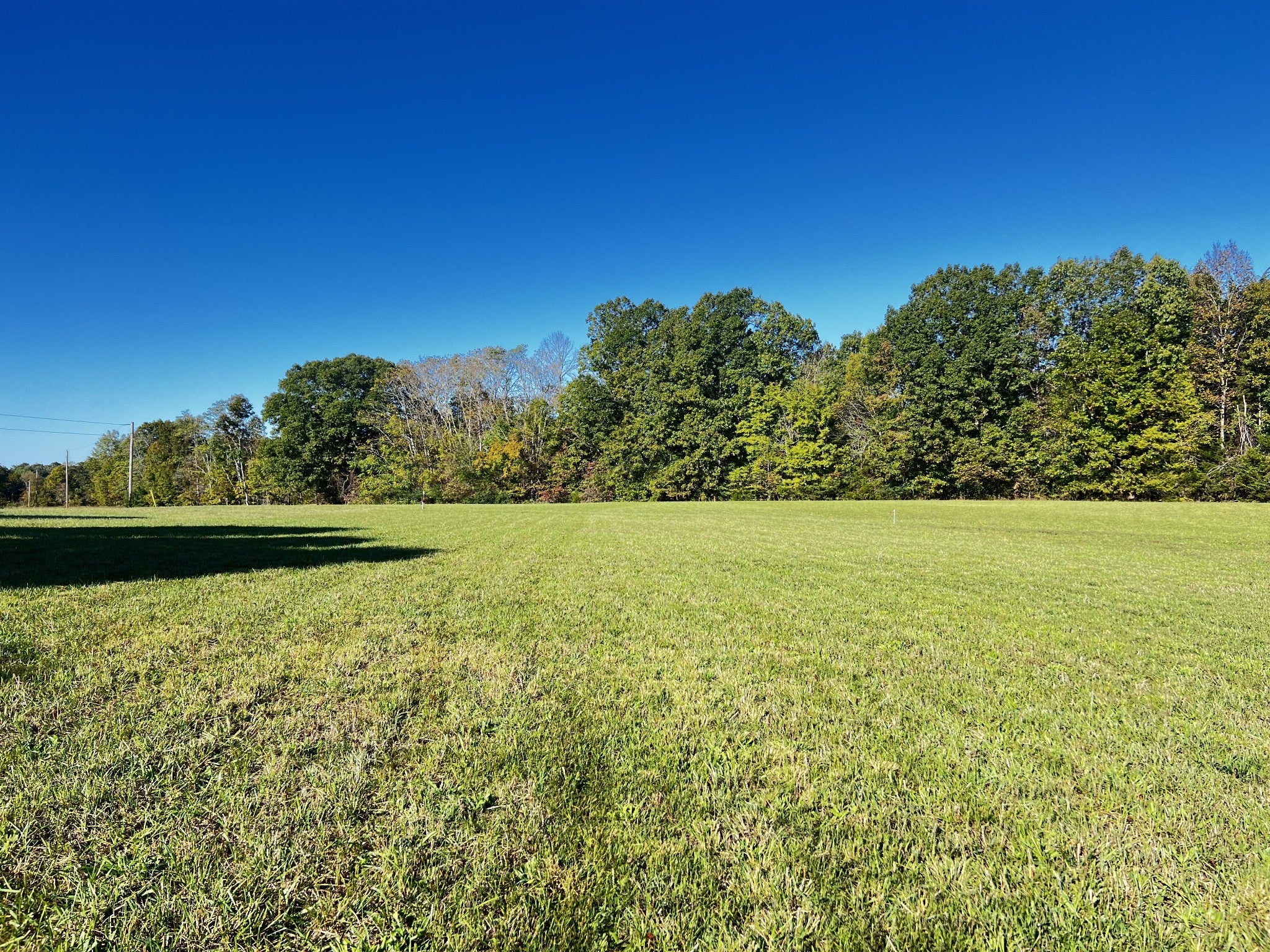 Photo of Listing #2755713