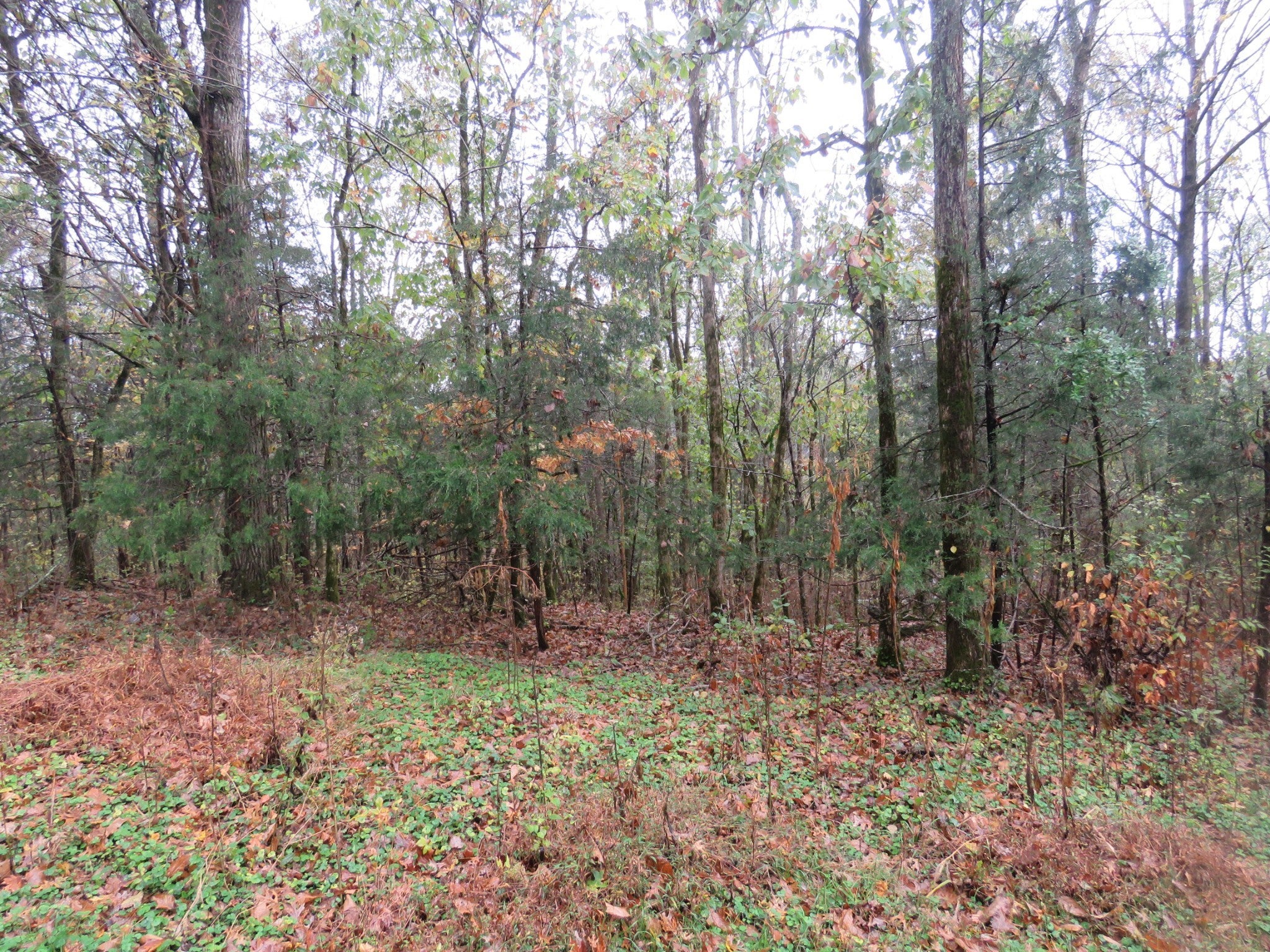 Photo of Listing #2757253