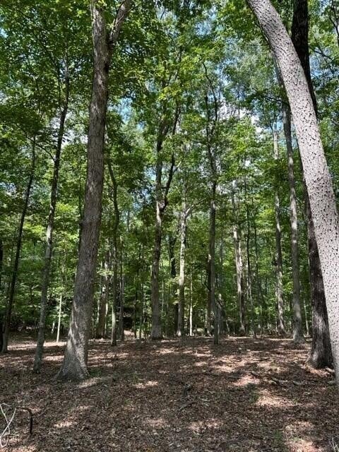 Photo of Listing #2762246