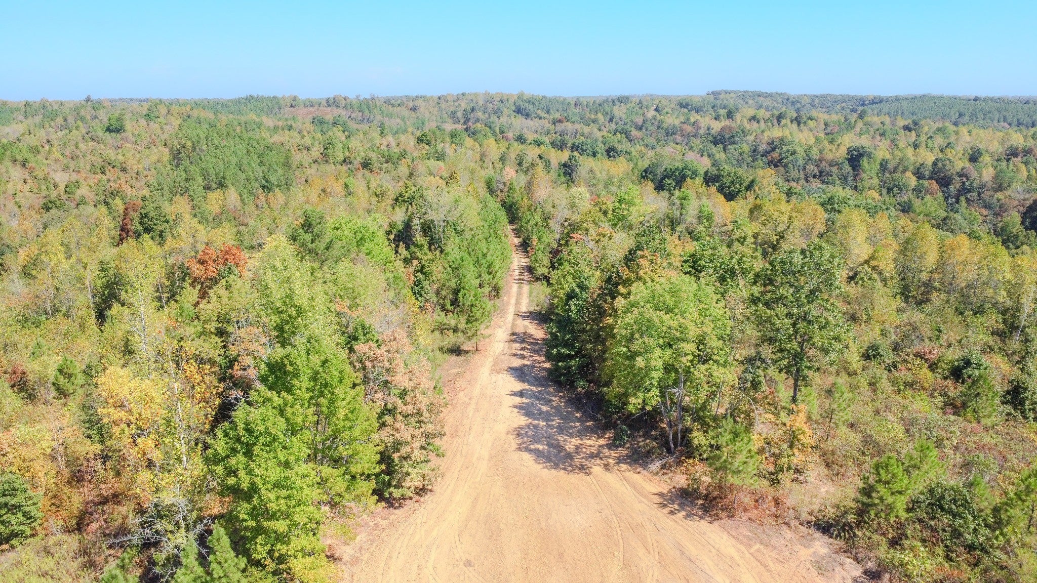 Photo of Listing #2762797