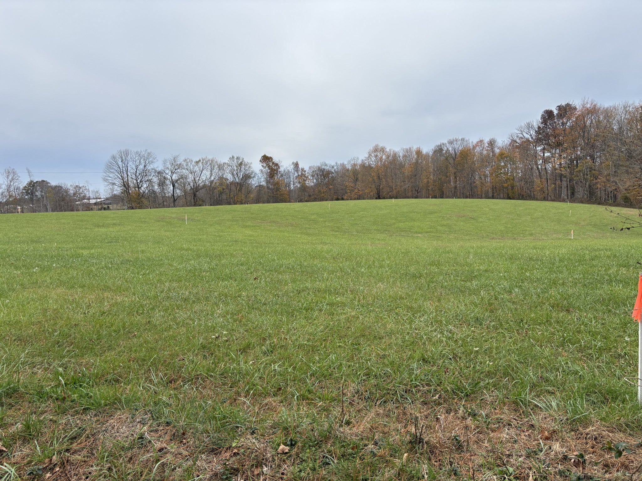 Photo of Listing #2763115