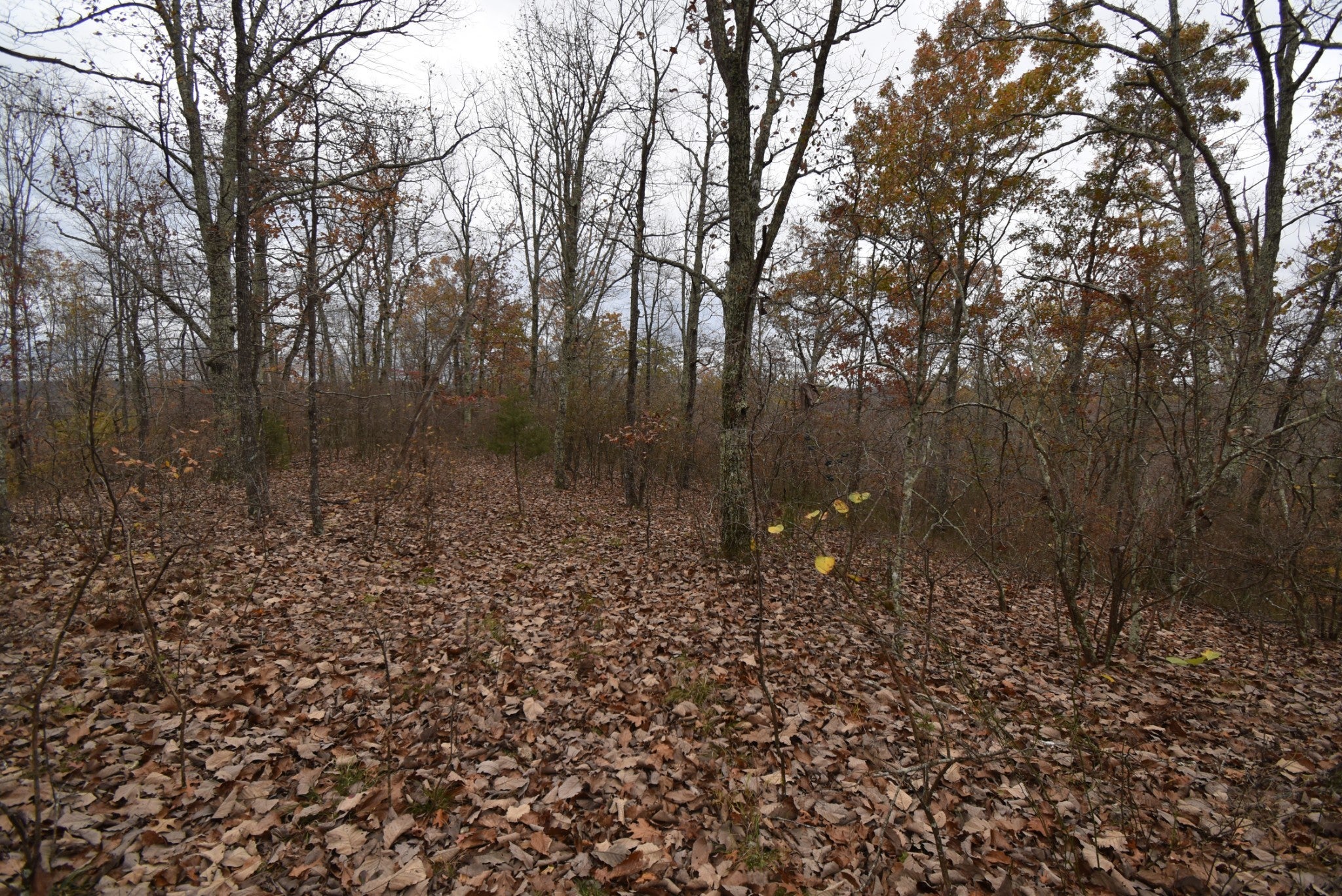 Photo of Listing #2763319