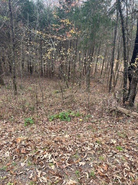 Photo of Listing #2763452