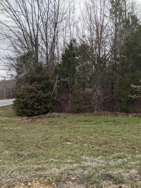 Photo of Listing #2763540