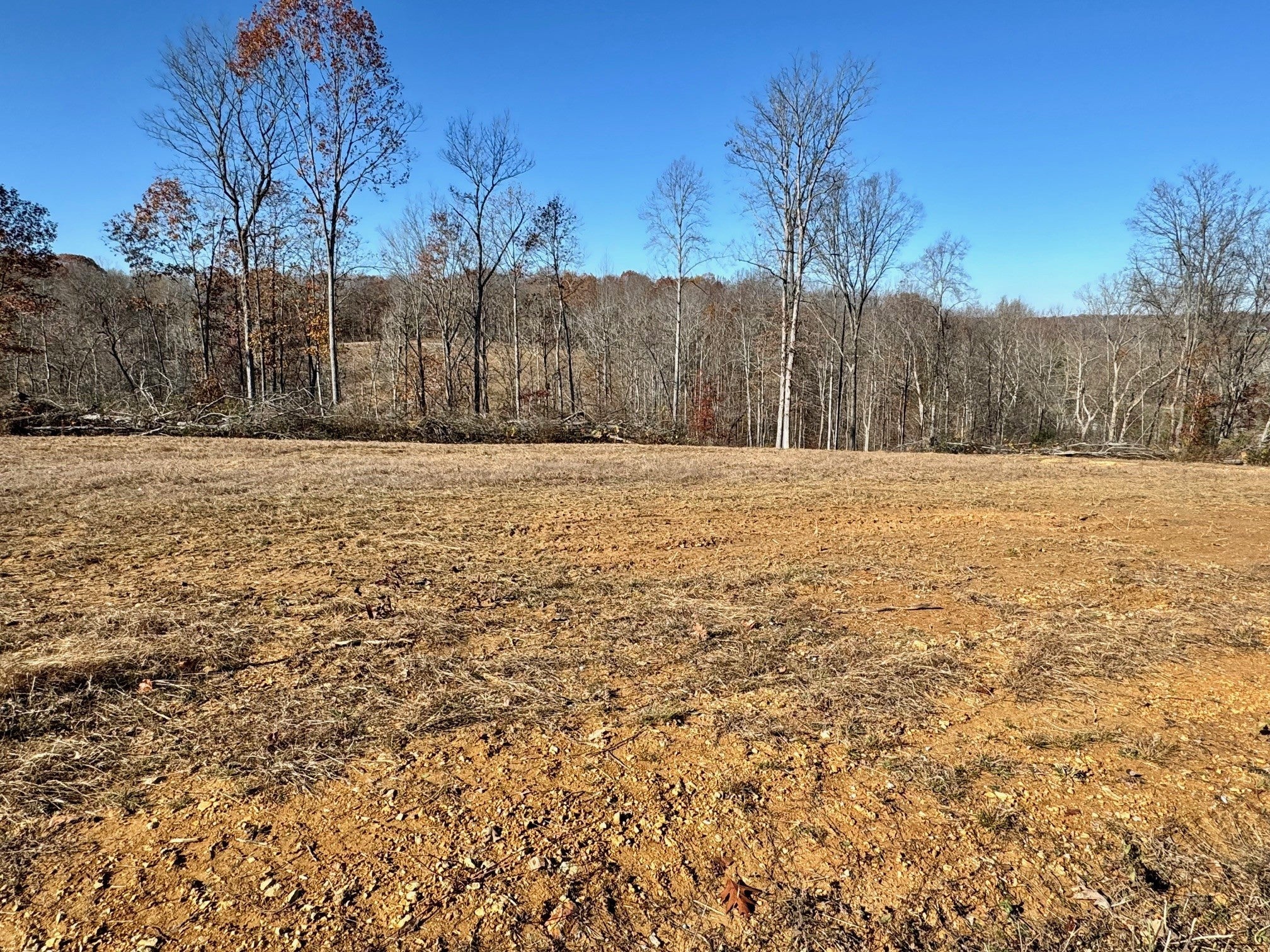 Photo of Listing #2764411
