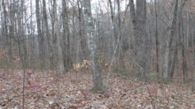 Photo of Listing #2765036