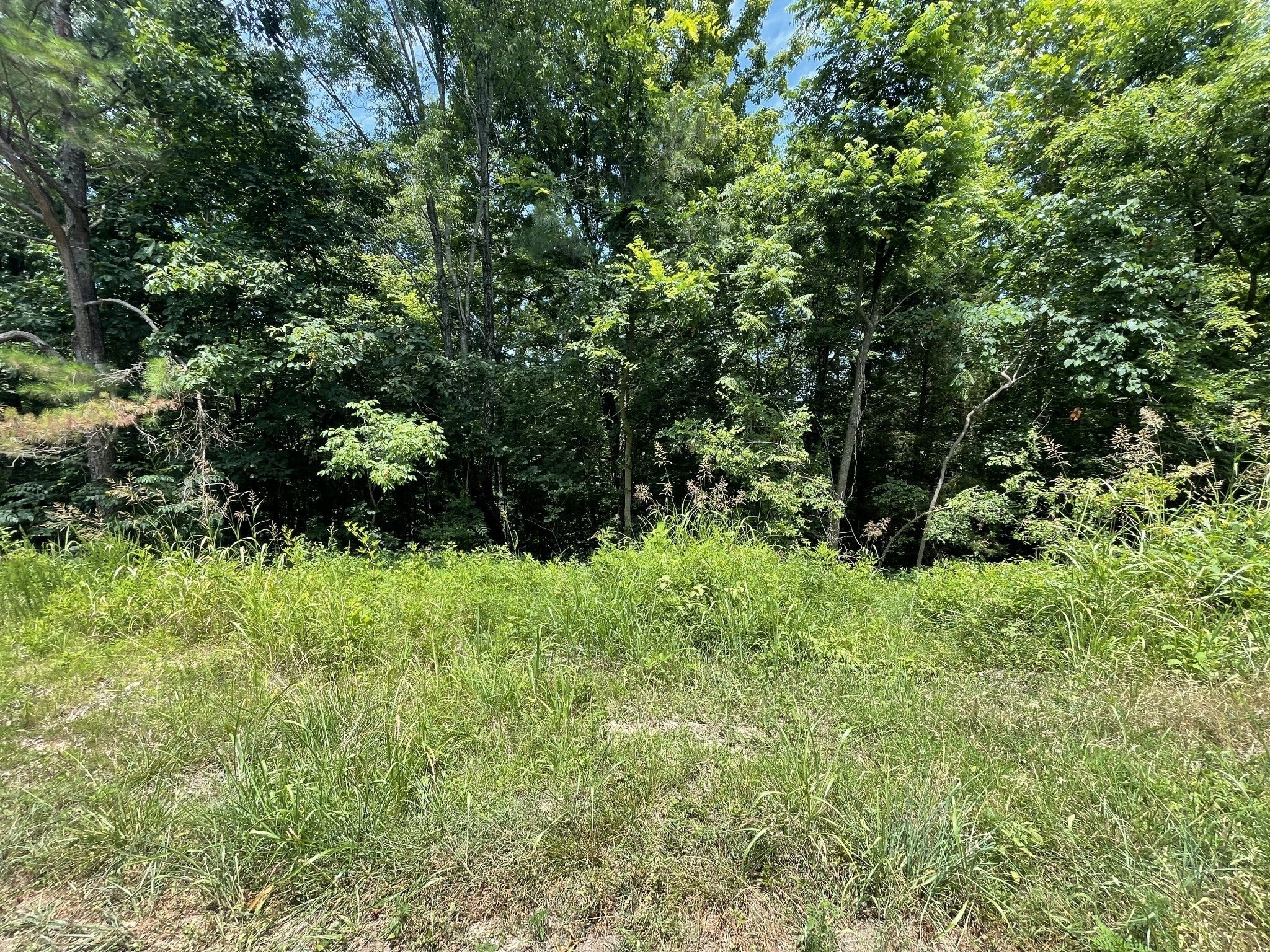 Photo of Listing #2765060