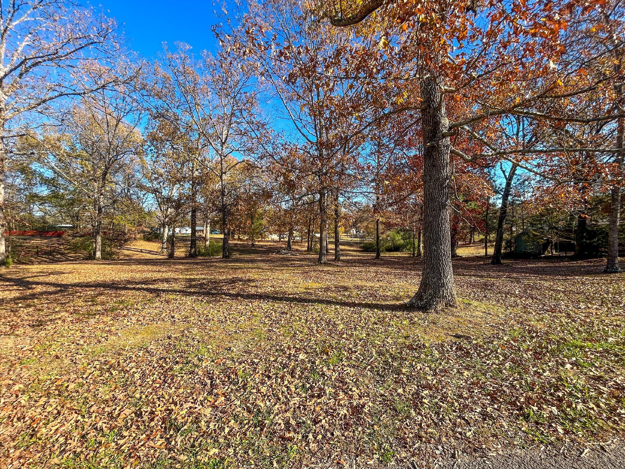 Photo of Listing #2766960