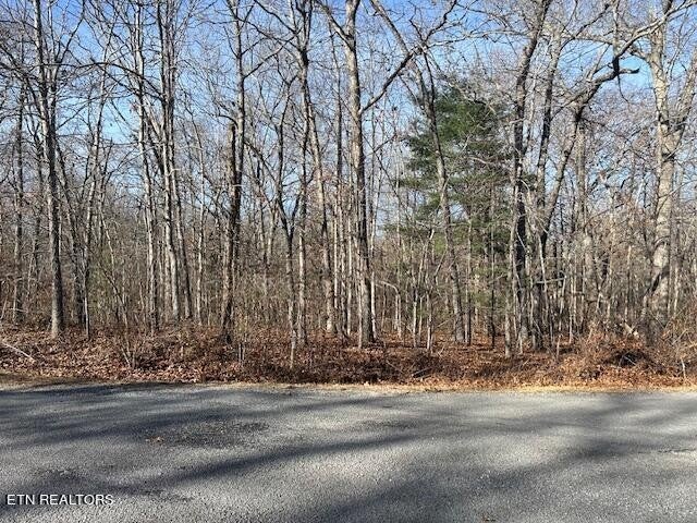Photo of Listing #2767603