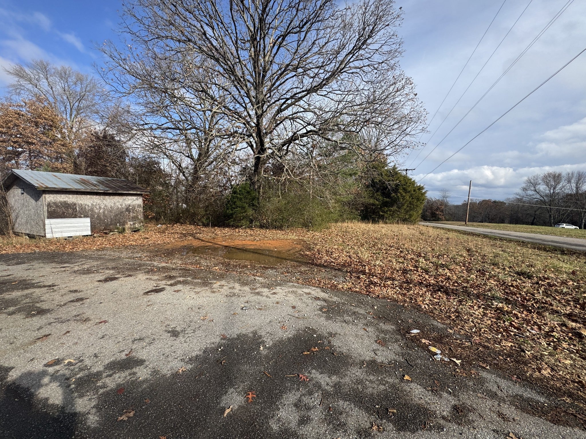 Photo of Listing #2767890