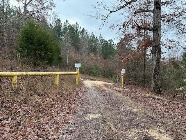 Photo of Listing #2768079