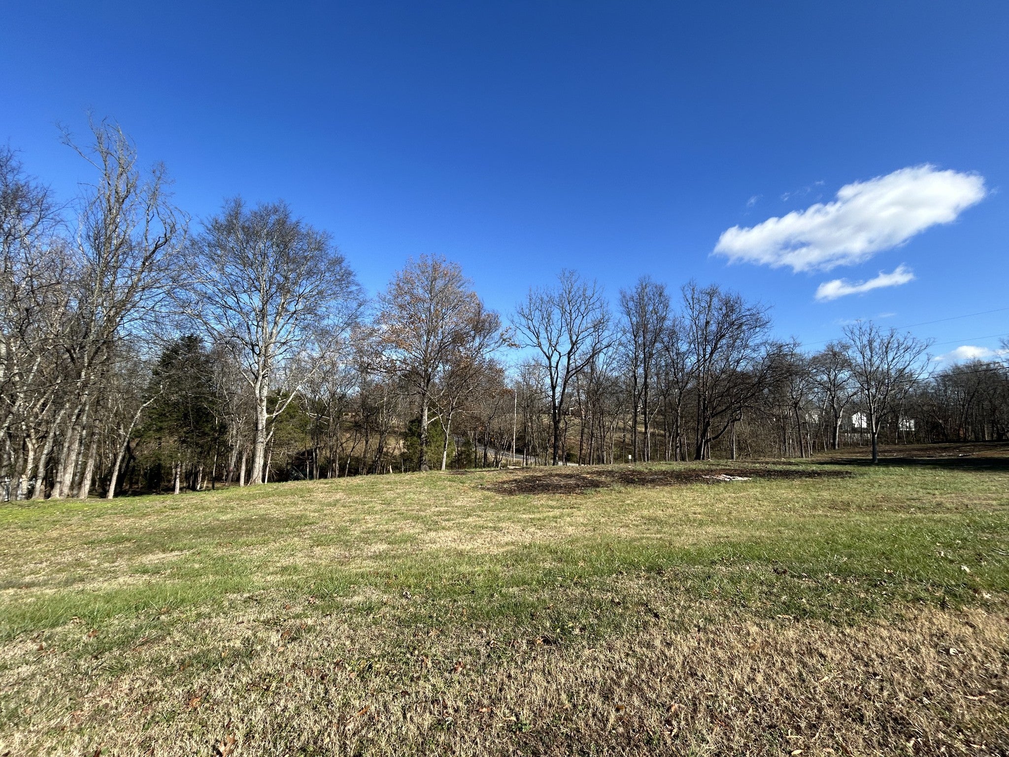 Photo of Listing #2769224